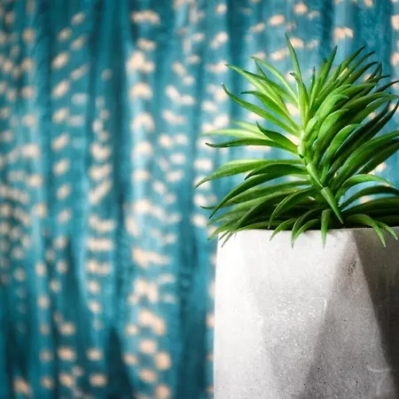 Hevizi Topark Panzio 3*