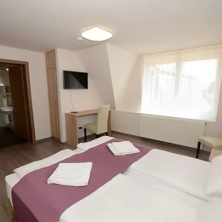 فندق مبيت وإفطار Hevizi Topark Panzio 3*