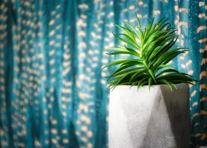 Hevizi Topark Panzio 3*